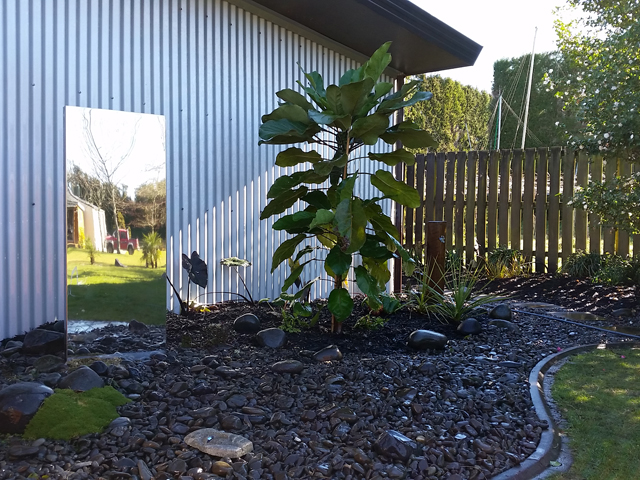 Stainless water feature and puka tree